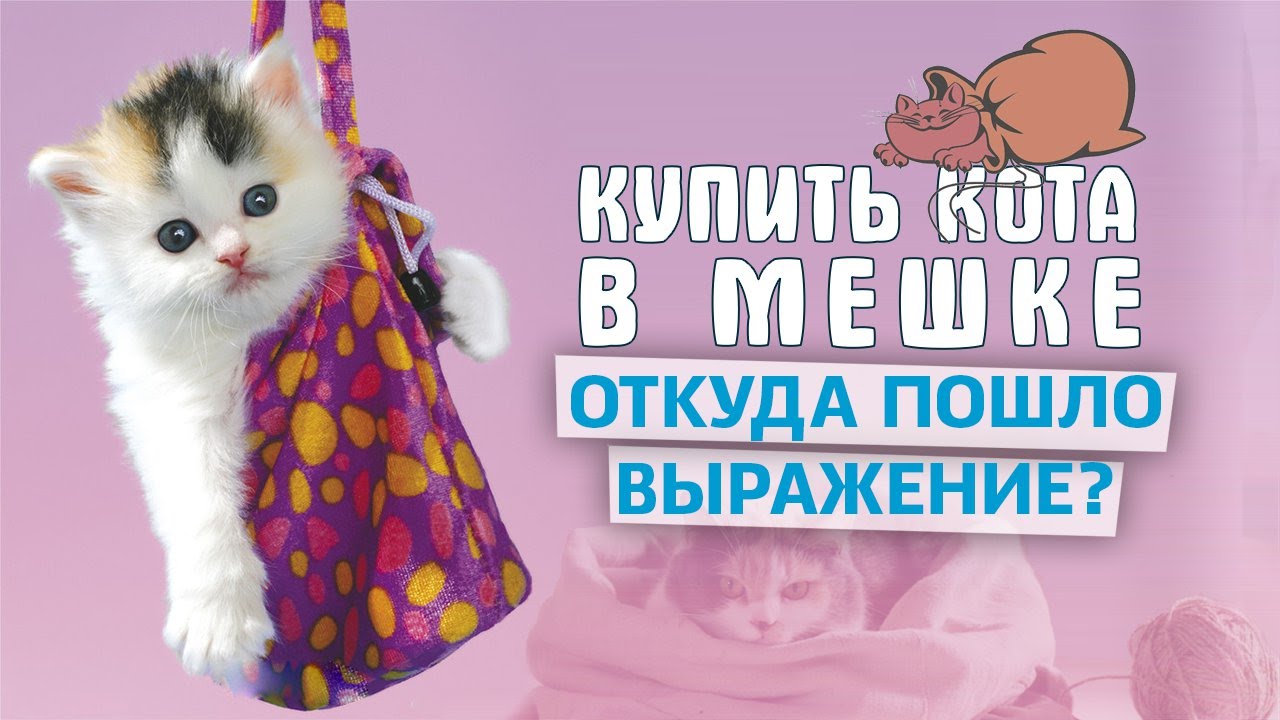 Что значит выражение «Купить кота в мешке»